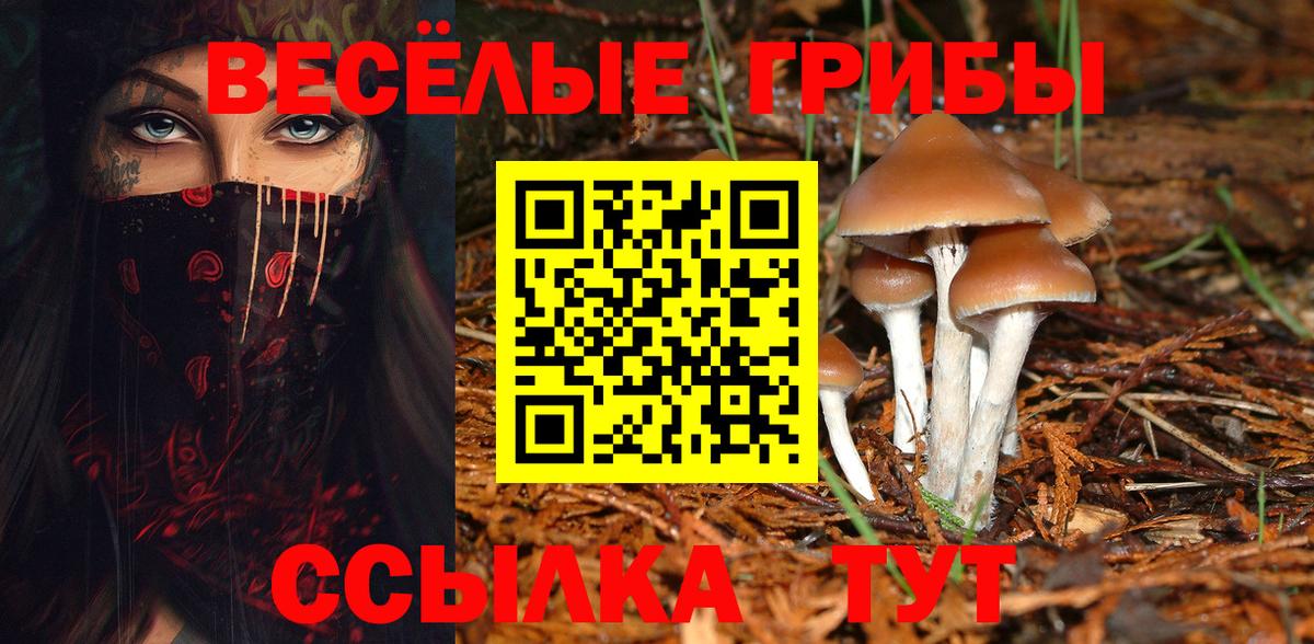 Красноярск  Галлюциногенные грибы MAGIC MUSHROOMS  Галлюциногенные грибы MAGIC MUSHROOMS  Вход с VPN 