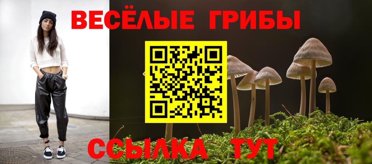 Галлюциногенные грибы MAGIC MUSHROOMS Красноярск
